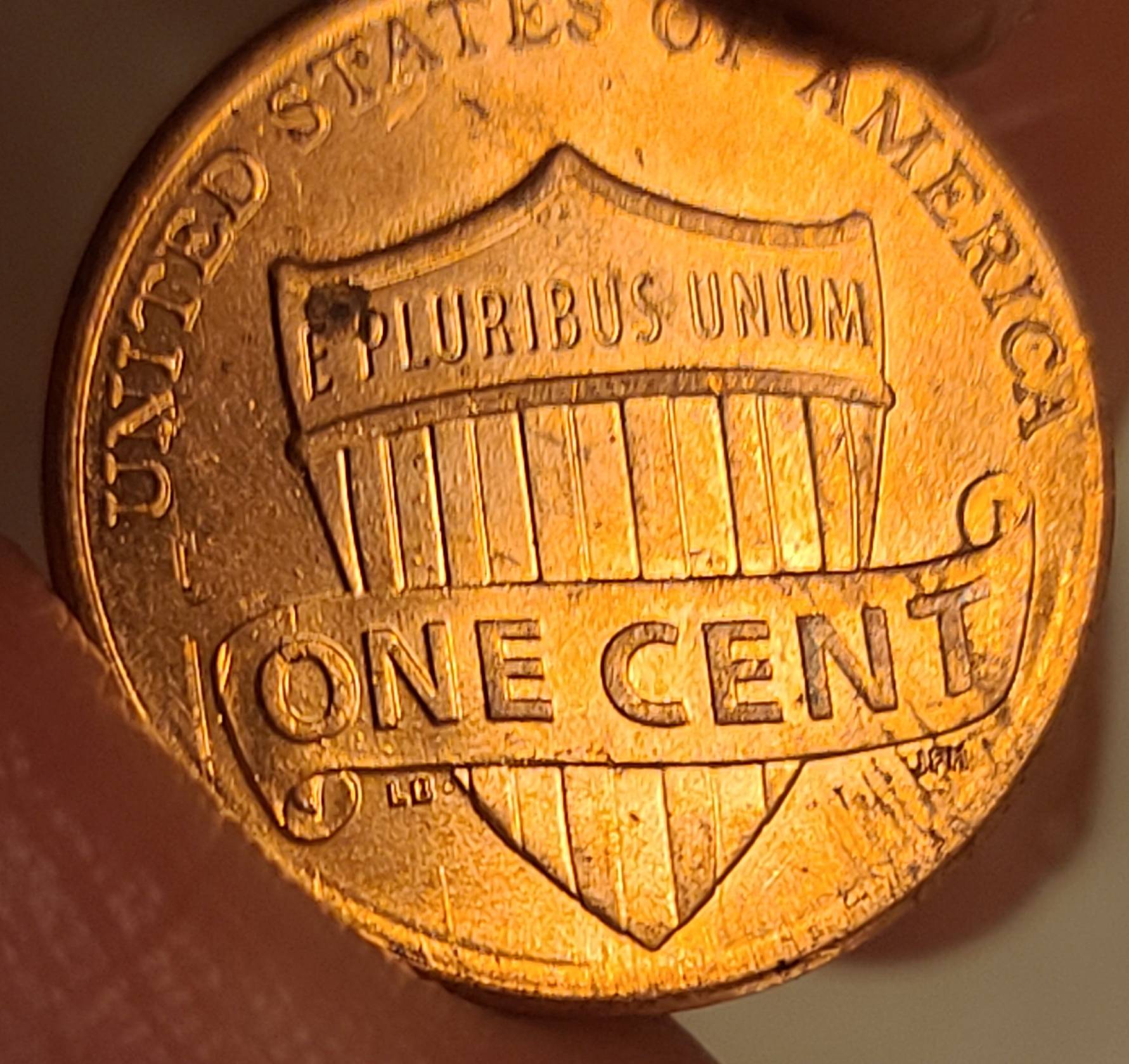 2018-Penny-Finger-Feeder-Damage?