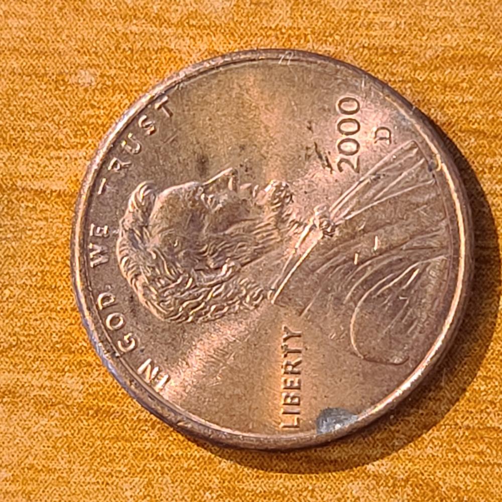 What's-Up-With-Lincolns-Knee's