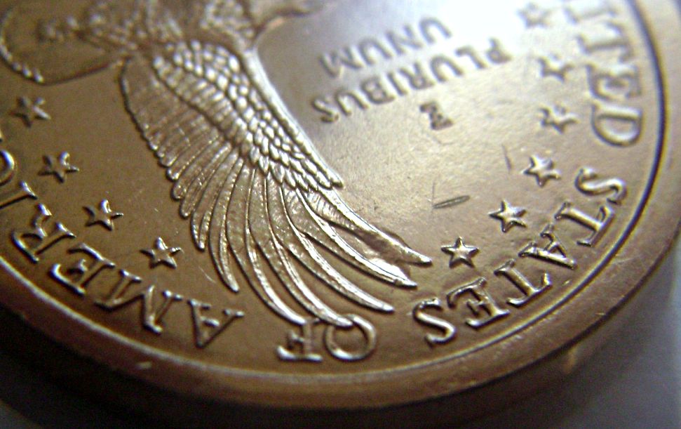 Sacagawea-Error,-Delamination-On-Eagle�s-Wing