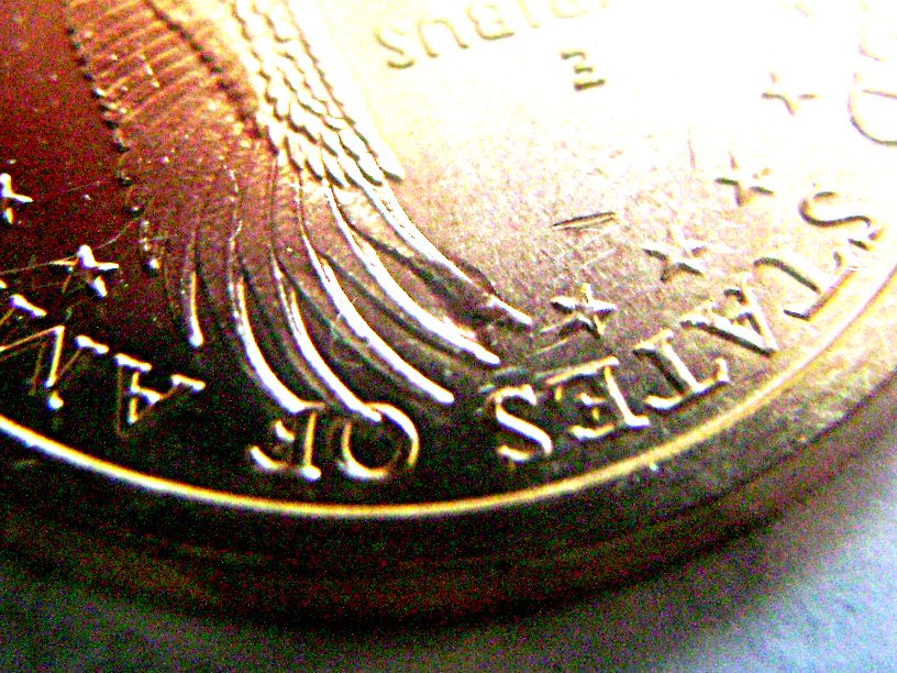 Sacagawea-Error,-Delamination-On-Eagle�s-Wing