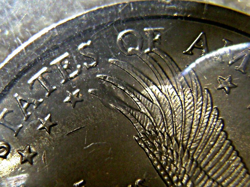 Sacagawea-Error,-Delamination-On-Eagle�s-Wing