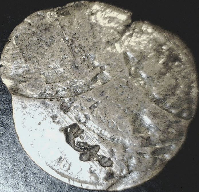51-Days-Of-Flying-Eagle-And-Indian-Head-Cents!---Part-4!!