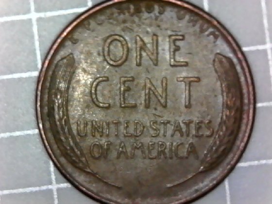 Is-This-A-1955-D-Lwc-BIE-Error?
