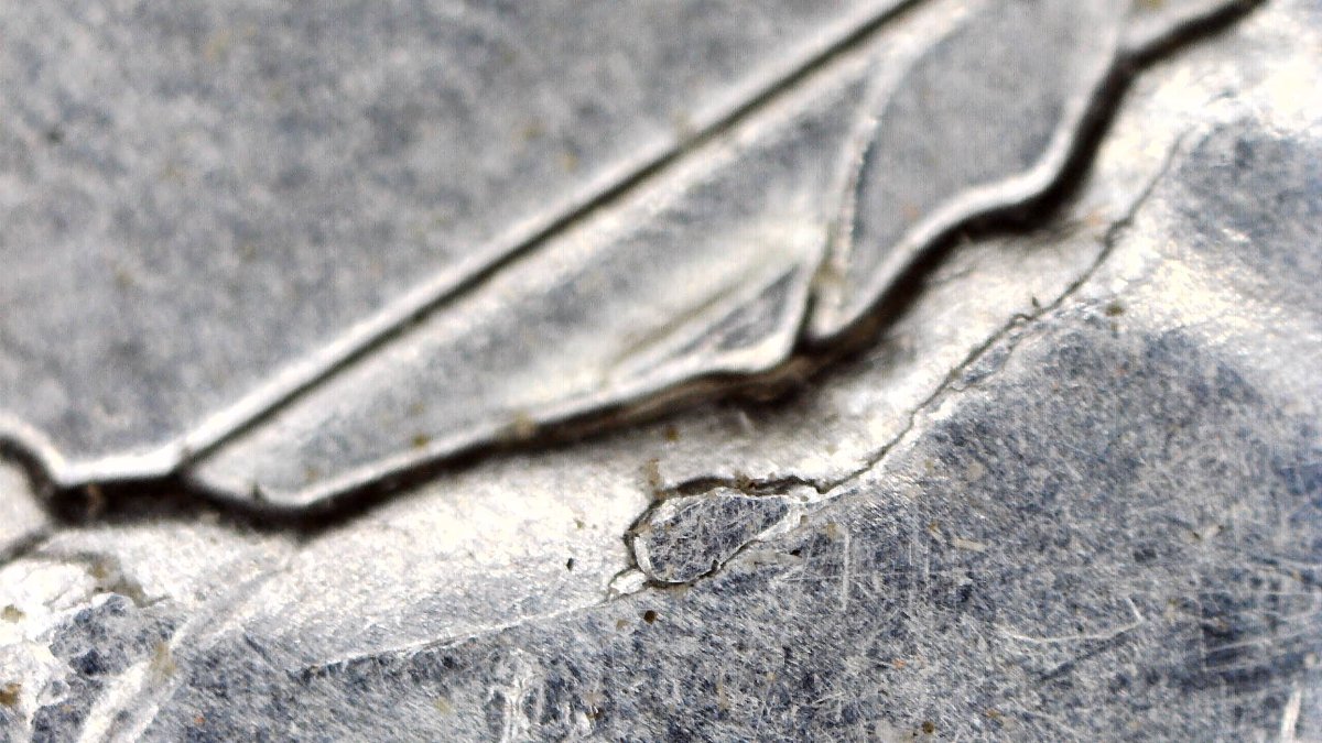 Update-On-Microscopes-Of-Mine-Found-A-Great-One