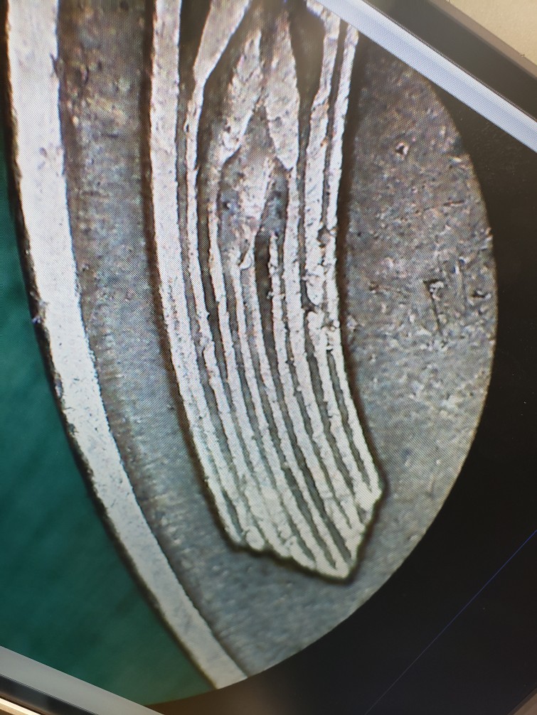 1954-S--Stamped-On-Wrong-Planchate-Or-Plated?