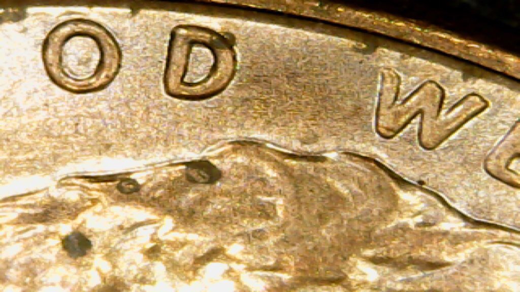 Finally-Found-A-True-DD-I-Think-2015-LSC-WDDO-0006