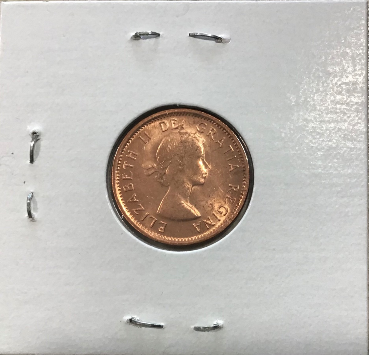 The-50-Posts-Thanks-To-The-Community-Giveaway/Contest