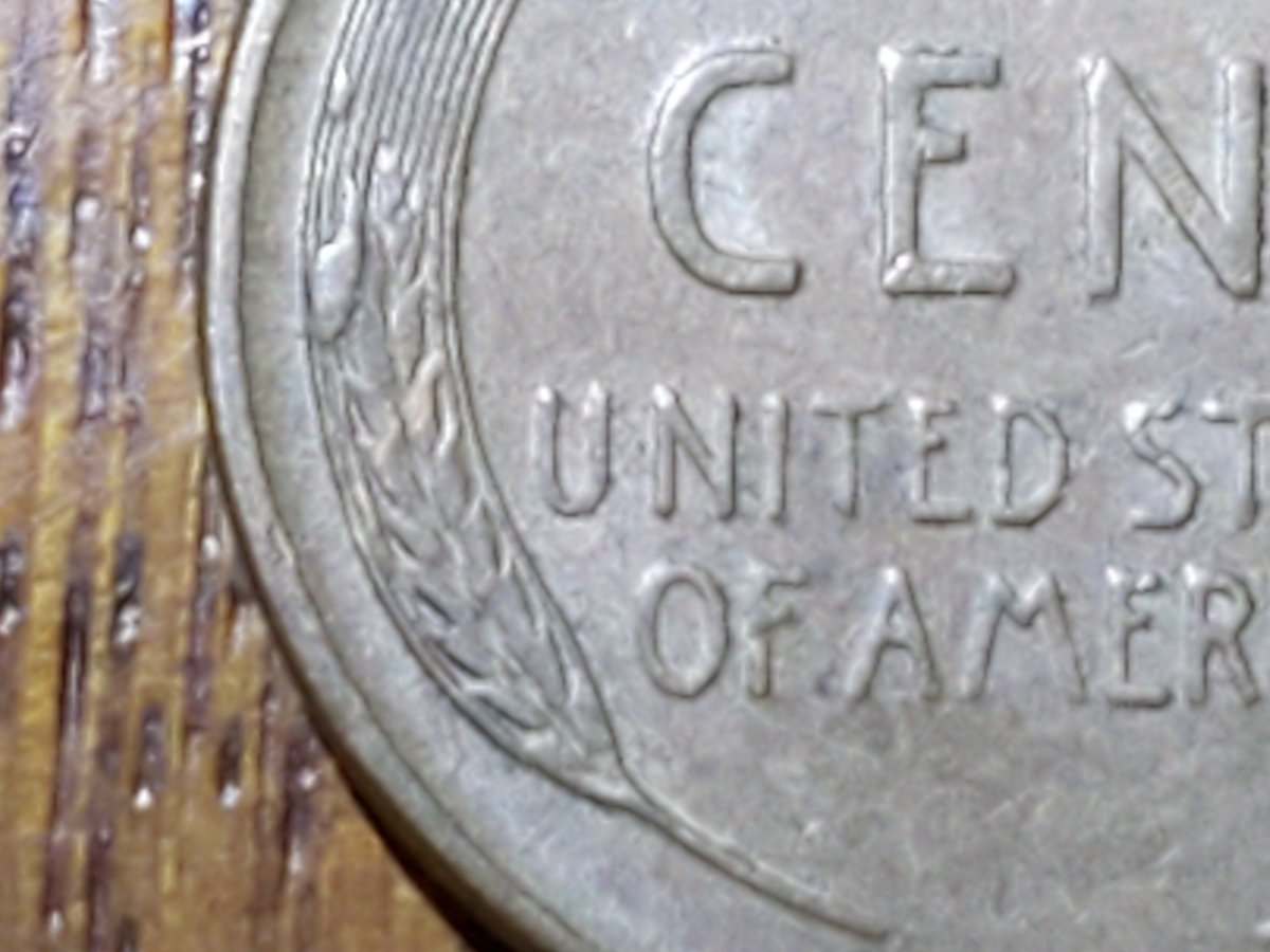 What-Is-This-On-The-Wheat-Stalk-52'-Penny