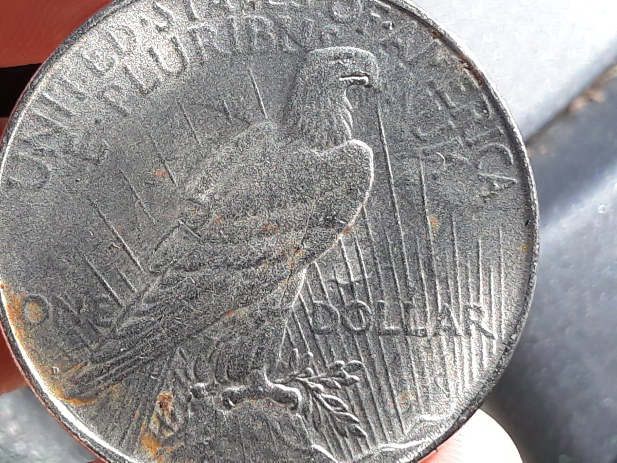 1927-Peace-Dollar-I-Found-Today-With-A-Nice-Die-Clash-Maybe