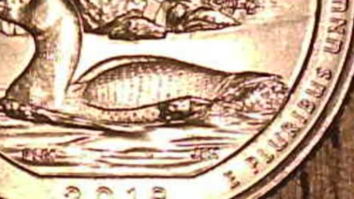 2018-P-Minnesota-Voyageurs-Quarter-Extra-Chunk-Of-Metal.