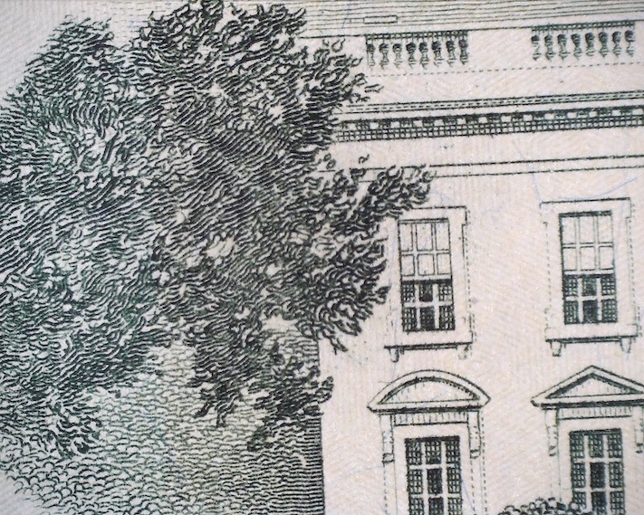 2013-Twenty-Dollar-Bill-W-Dog-In-Window?