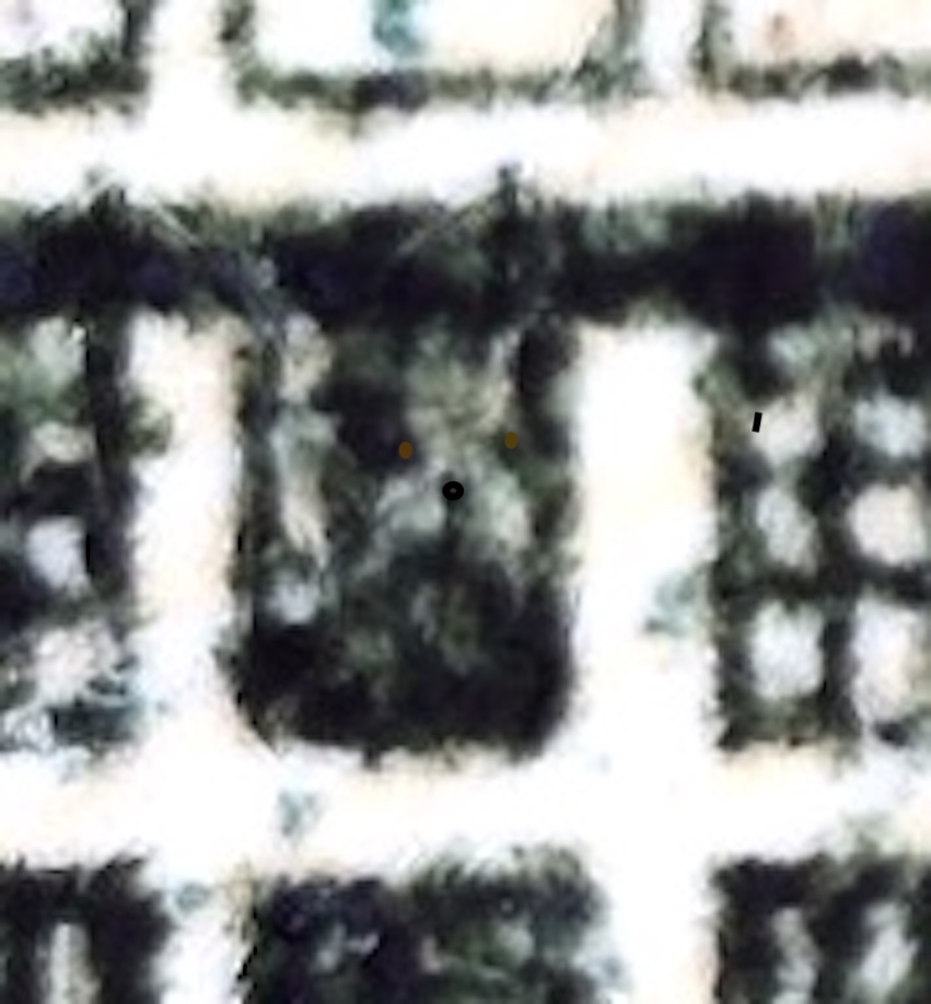 2013-Twenty-Dollar-Bill-W-Dog-In-Window?