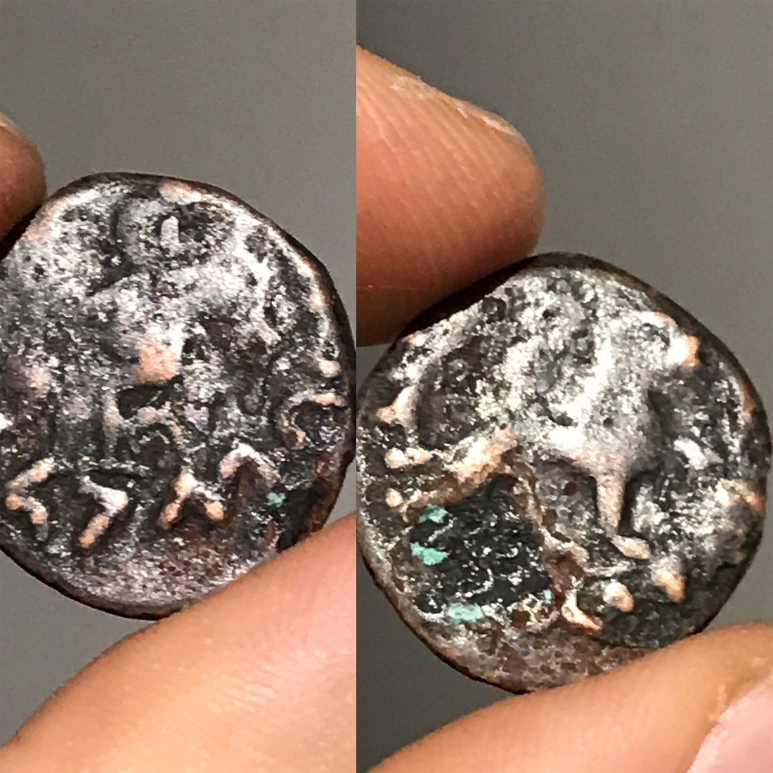 Attribution-Request-Possible-Indo-Scythian