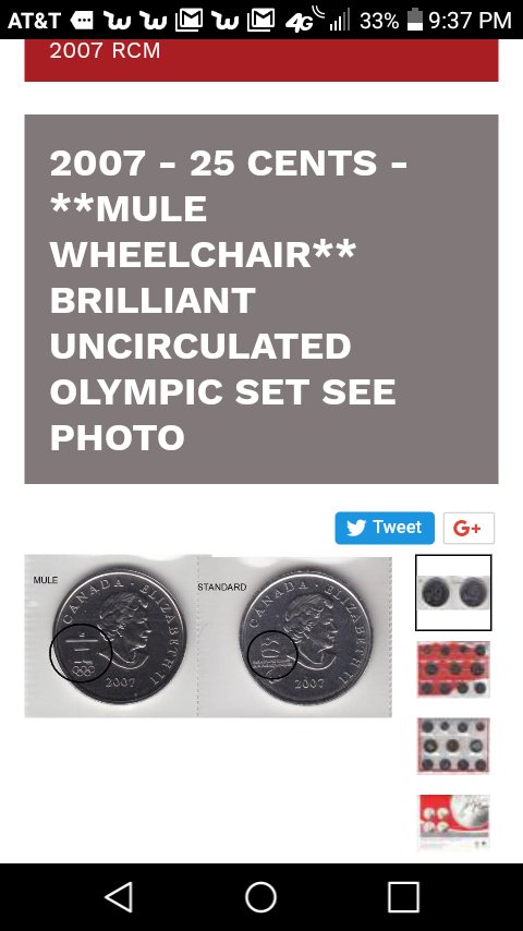 Possible-2007-Olympic-Mule