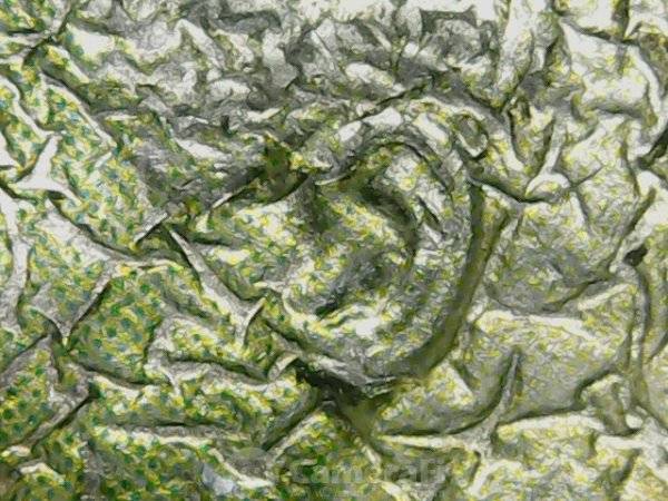 1981-D-Roosevelt-Dime-Errors?-Or-Abuse-To-The-Coin?