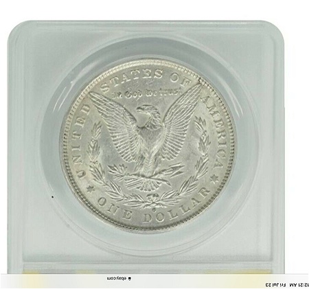 1886-O-Morgan-Bought-The-Coin-Not-The-Grade-This-Time