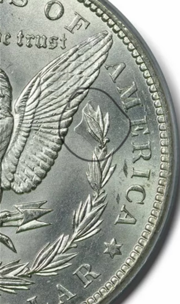 1882-CC-Is-This-A-VAM?