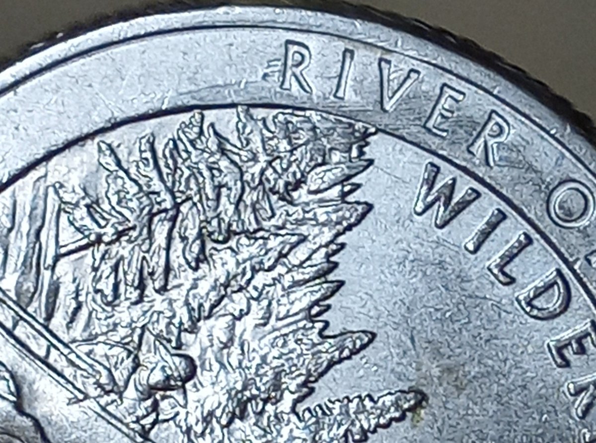 Is-This-An-Error-On-My-2019-P-River-Of-No-Return-Quarter