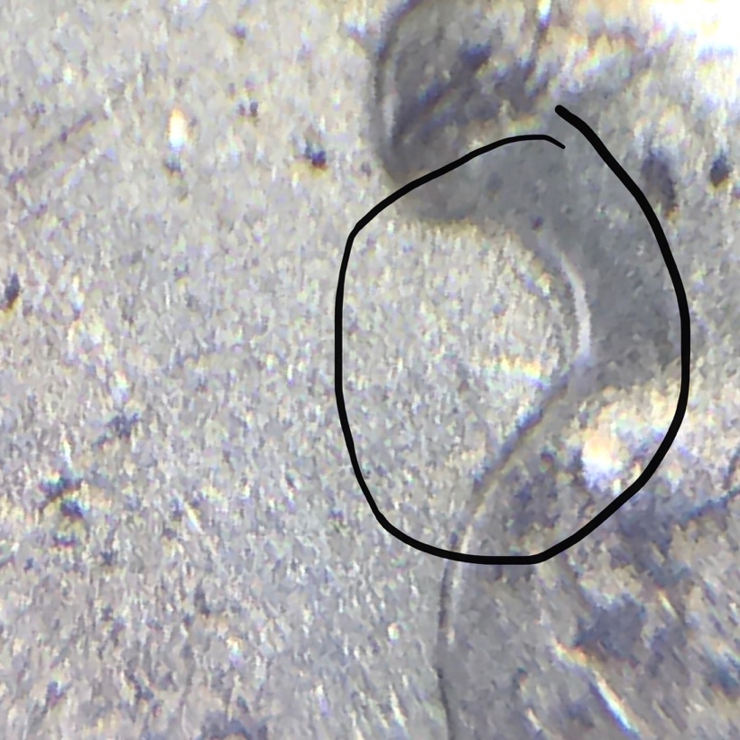 Question-On-A-1897-O-With-Possible-Clashed-Die