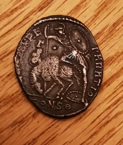 Who-Has-A-Nice-Fallen-Horseman?