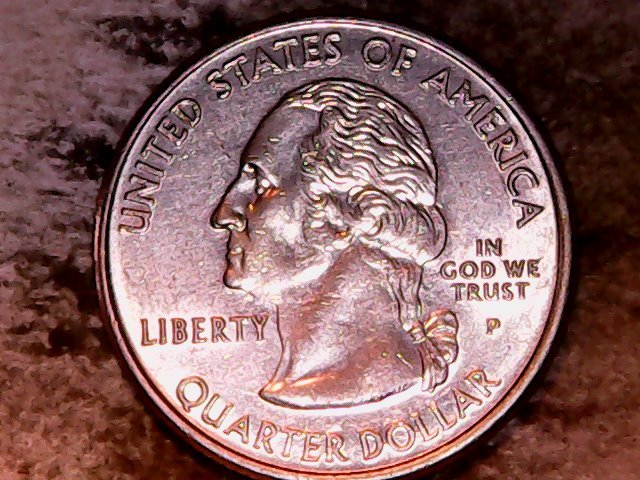 2006-P-Nevada-Quarter-Horse-Tail