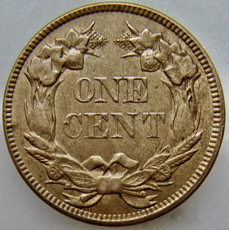How-Would-You-Grade-This-1857-Fec?
