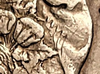 1883-S-Morgan-Anomaly-Question