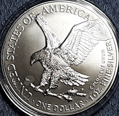 G-L-B-49's-American-Silver-Eagle-Collection
