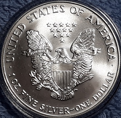 G-L-B-49's-American-Silver-Eagle-Collection