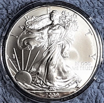 G-L-B-49's-American-Silver-Eagle-Collection
