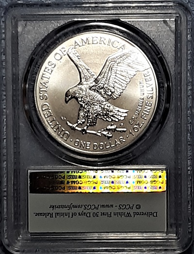 G-L-B-49's-American-Silver-Eagle-Collection