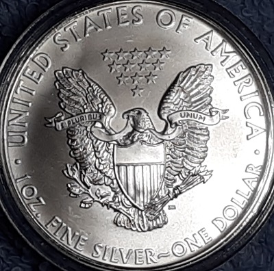 G-L-B-49's-American-Silver-Eagle-Collection
