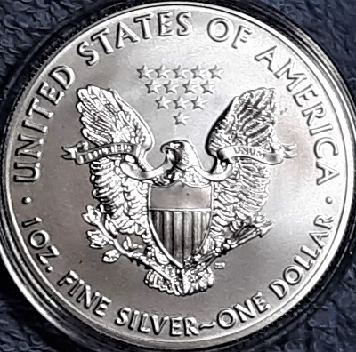 G-L-B-49's-American-Silver-Eagle-Collection