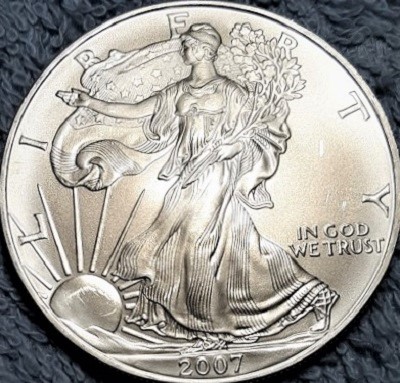 G-L-B-49's-American-Silver-Eagle-Collection