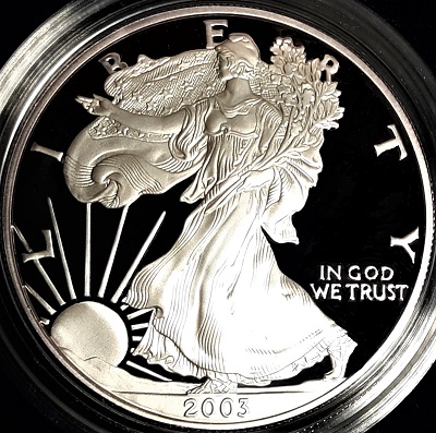 G-L-B-49's-American-Silver-Eagle-Collection