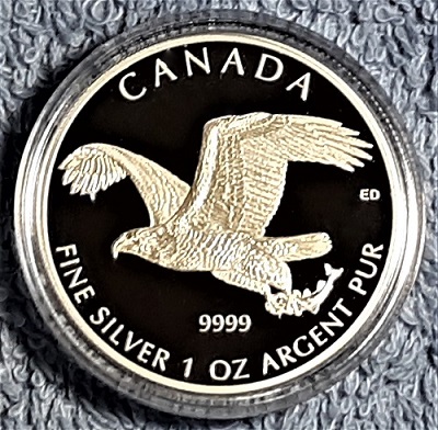 G-L-B-49's-Random-Silver-Coins