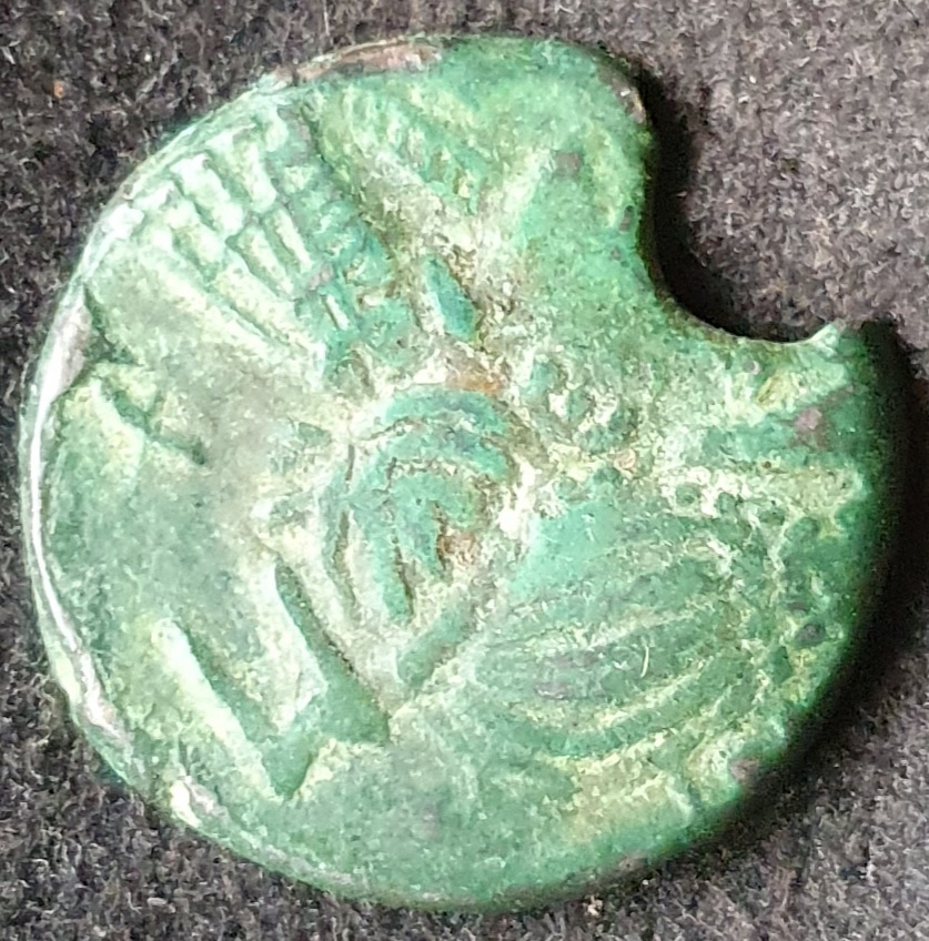 Id'd---3-Grain-Ears-/-Isis-Mauretania-Iol-�s,-3/2c-Bc