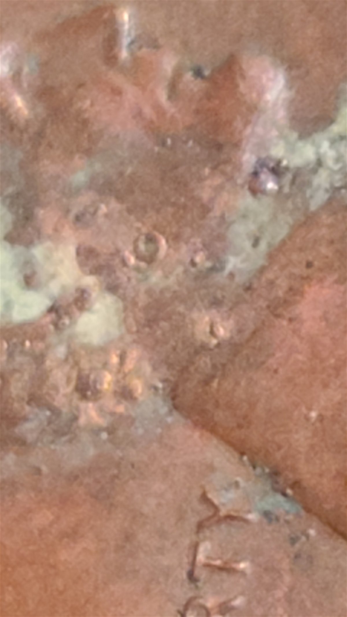 Need-Help-With-Multiple-Strikes-1983-Lincoln-Penny