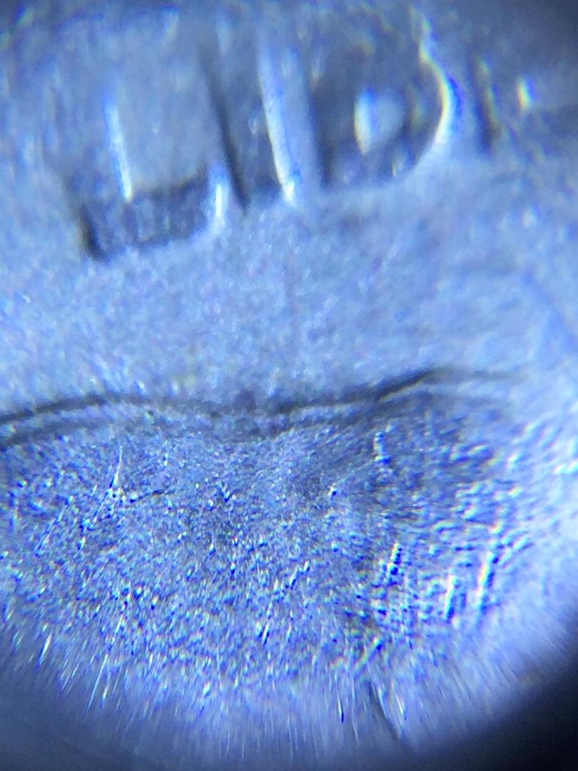 1924-D-Buffalo-Nickel,-Help-Please!