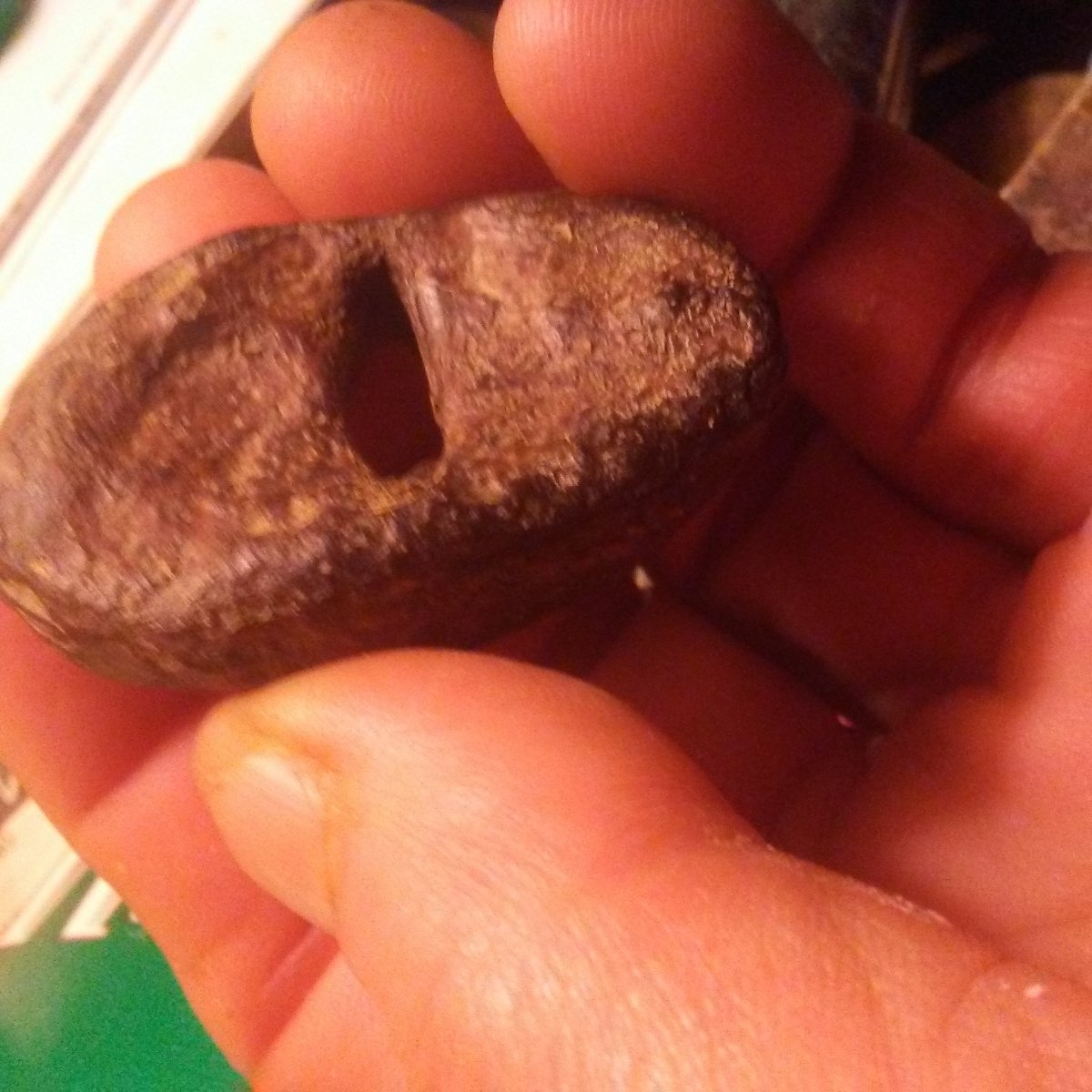 Is-This-A-Seal?-Found-By-Creek-Bed-In-Thompsonville-Illinois-Its-Not-Magnet
