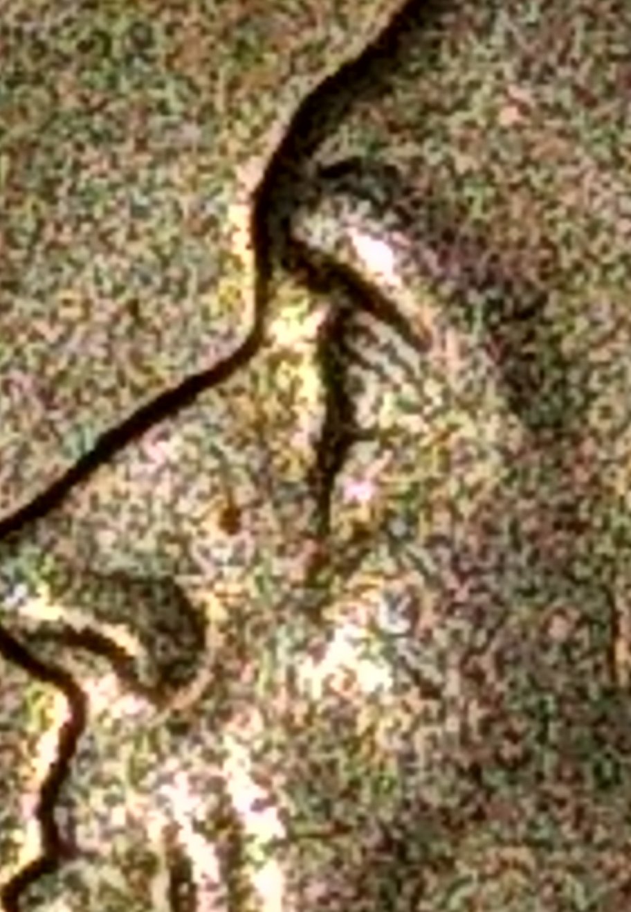 1961-P-Jefferson-Nickel-1-1/2-Steps