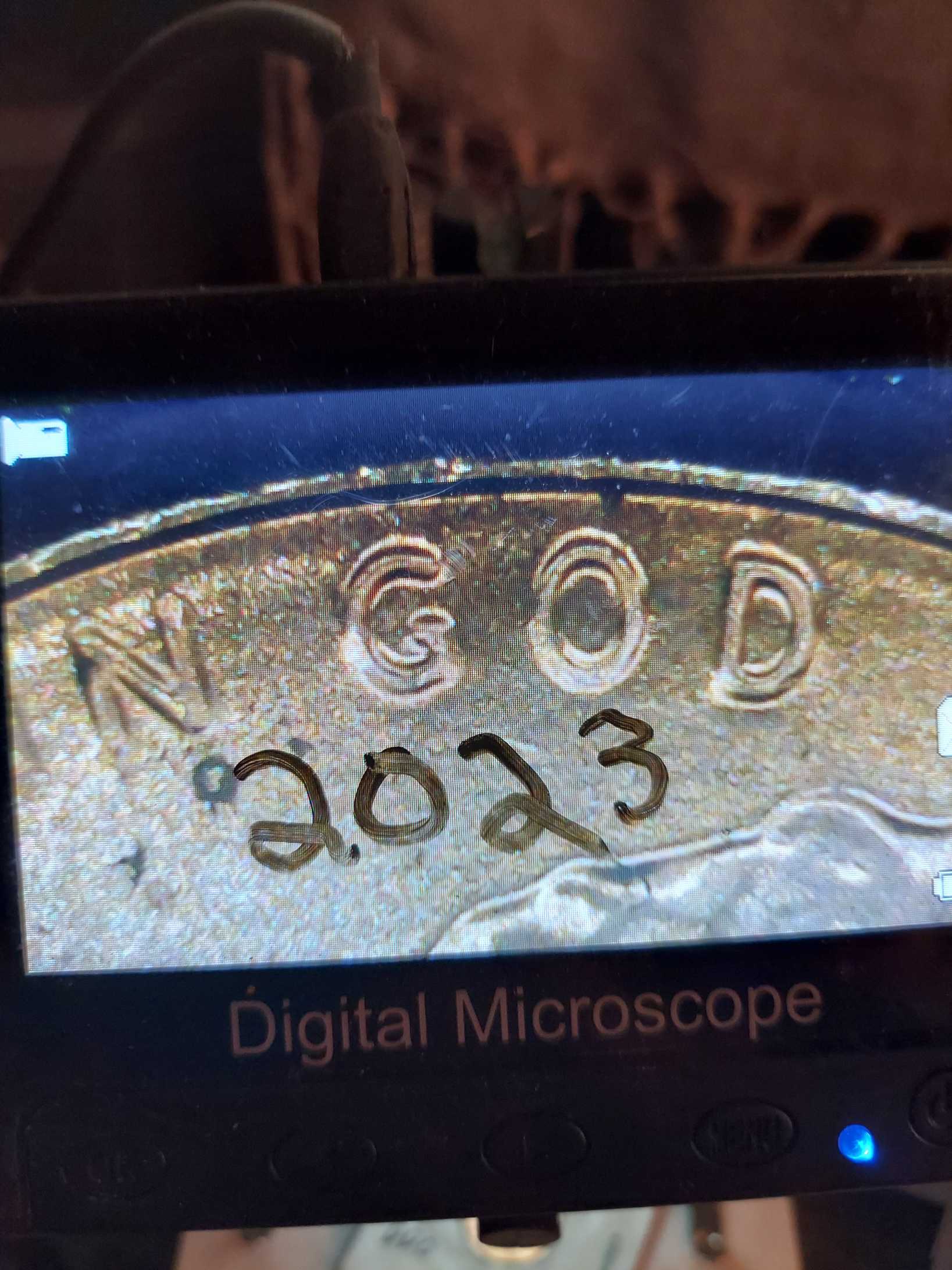 2023-D-1-Cent-Possible-New-Error?