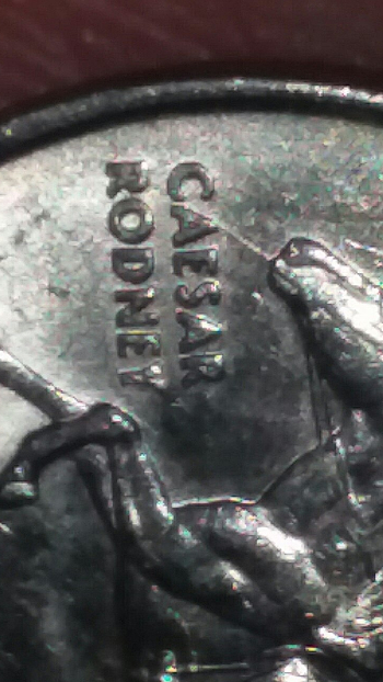 Is-This-A-Spitting-Horse-Quarter-?