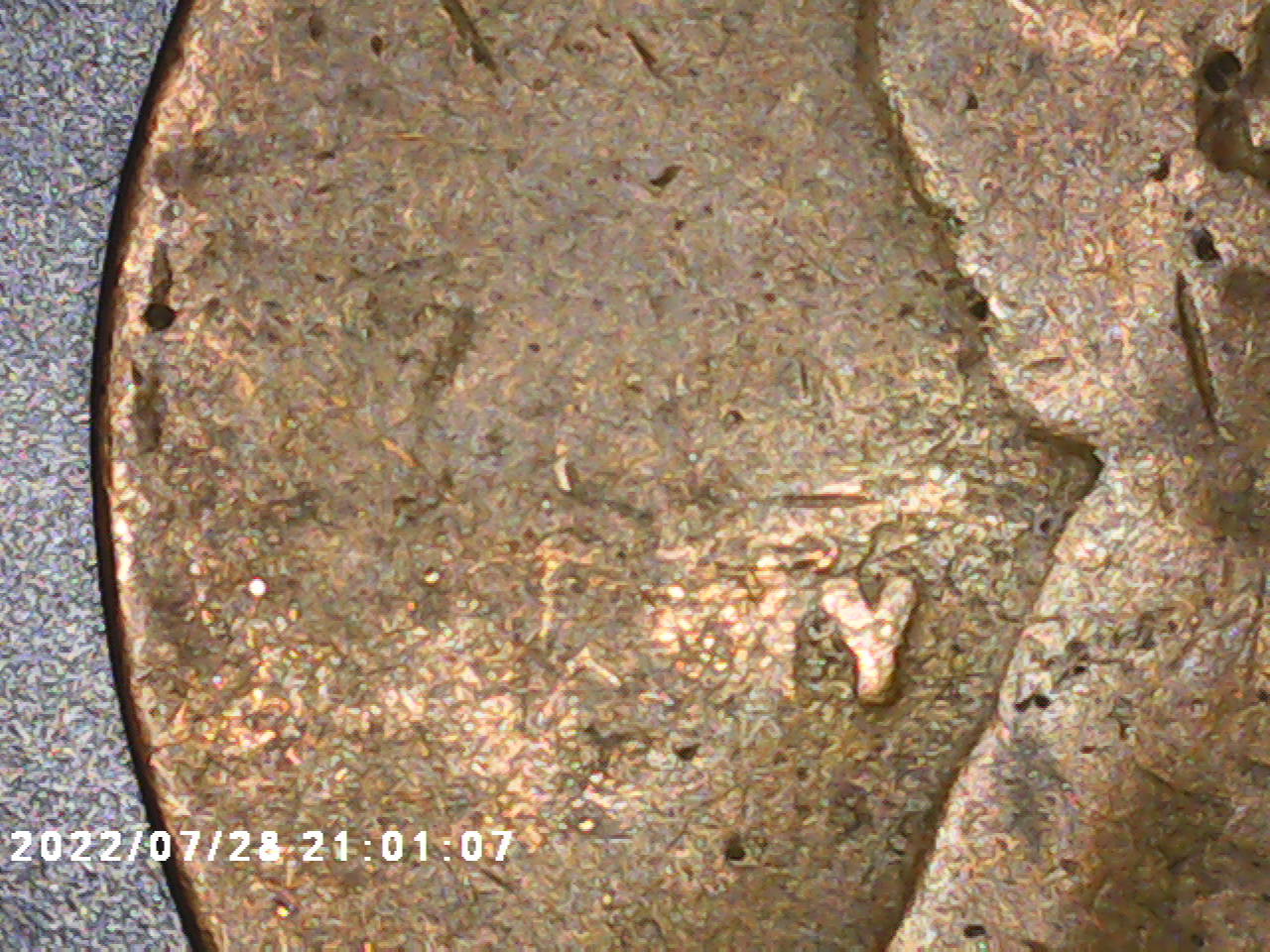 Found-In-Old-Buried-Kodak-Film-Roll-Case.-Brockage-/W-Counter-Brockage?-191x-Cent