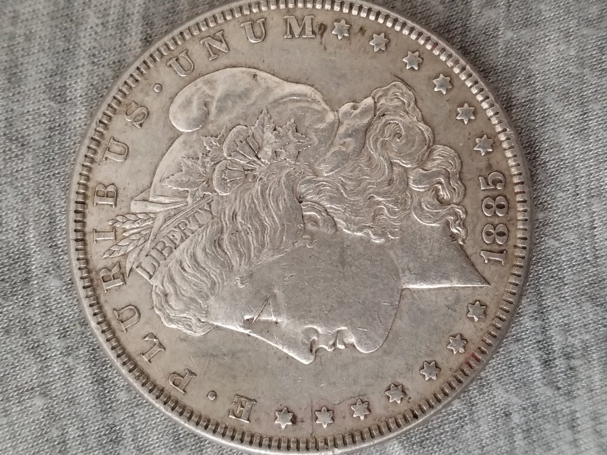 Help-Identifying-1885-Silver-Dollar-VAM