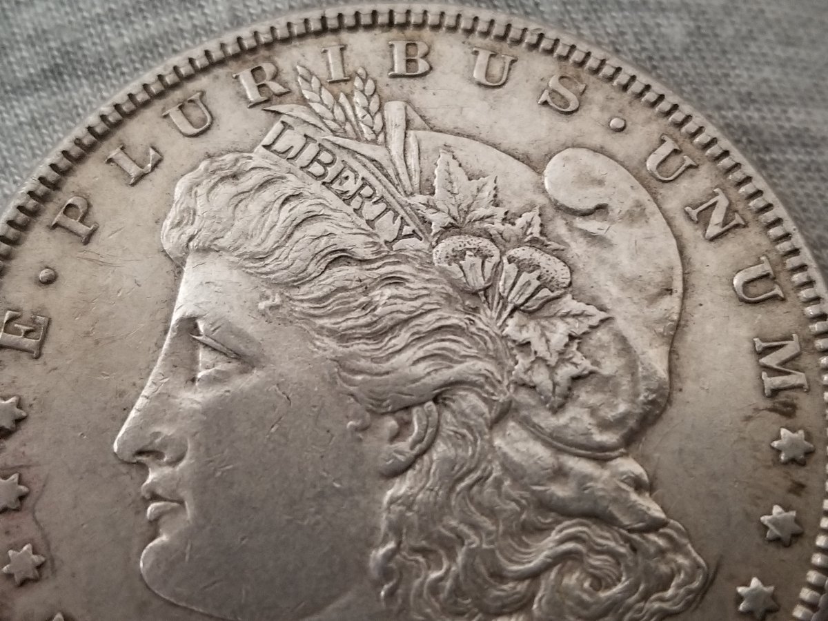 Help-Identifying-1885-Silver-Dollar-VAM