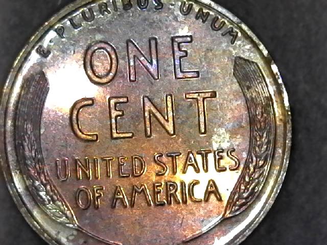 Help-With-1941-LWC-Proof-Conservation
