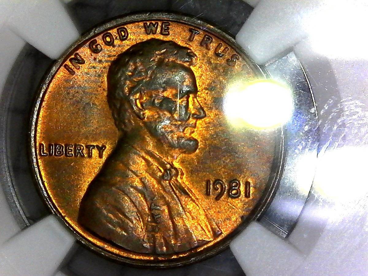 1981-LMC-You-Vs-NGC.-Dbl-Stk-In-Collar