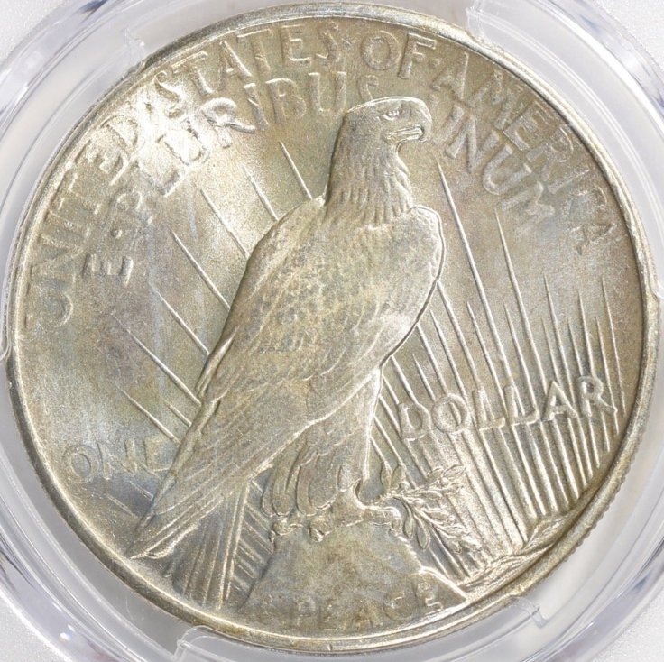1925-Peace-$1-You-Vs-PCGS