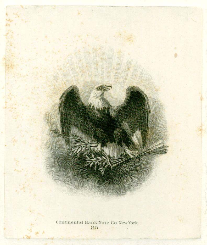 Bald-Eagle-Vignettes